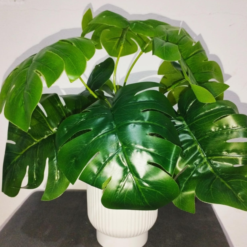 Planta Decorativa Costela - de - Adão Artificial em Vaso Branco – Folhagem Verde Realista