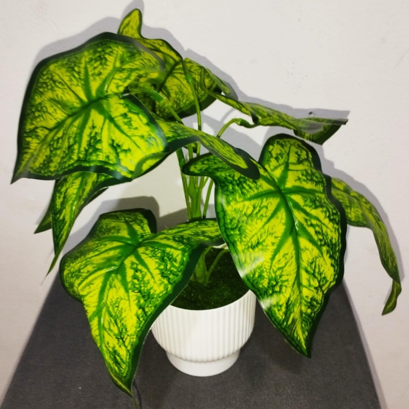 Planta Decorativa Calandium Artificial em Vaso Branco – Folhagem Verde Realista