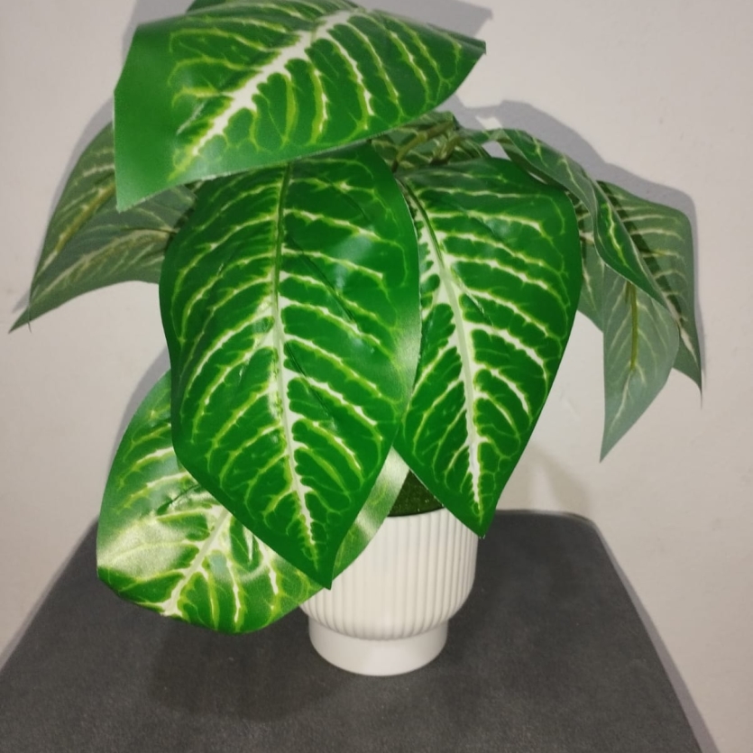 Planta Decorativa Comigo Ninguém Pode Artificial em Vaso Branco e junbo– Folhagem Verde Realista